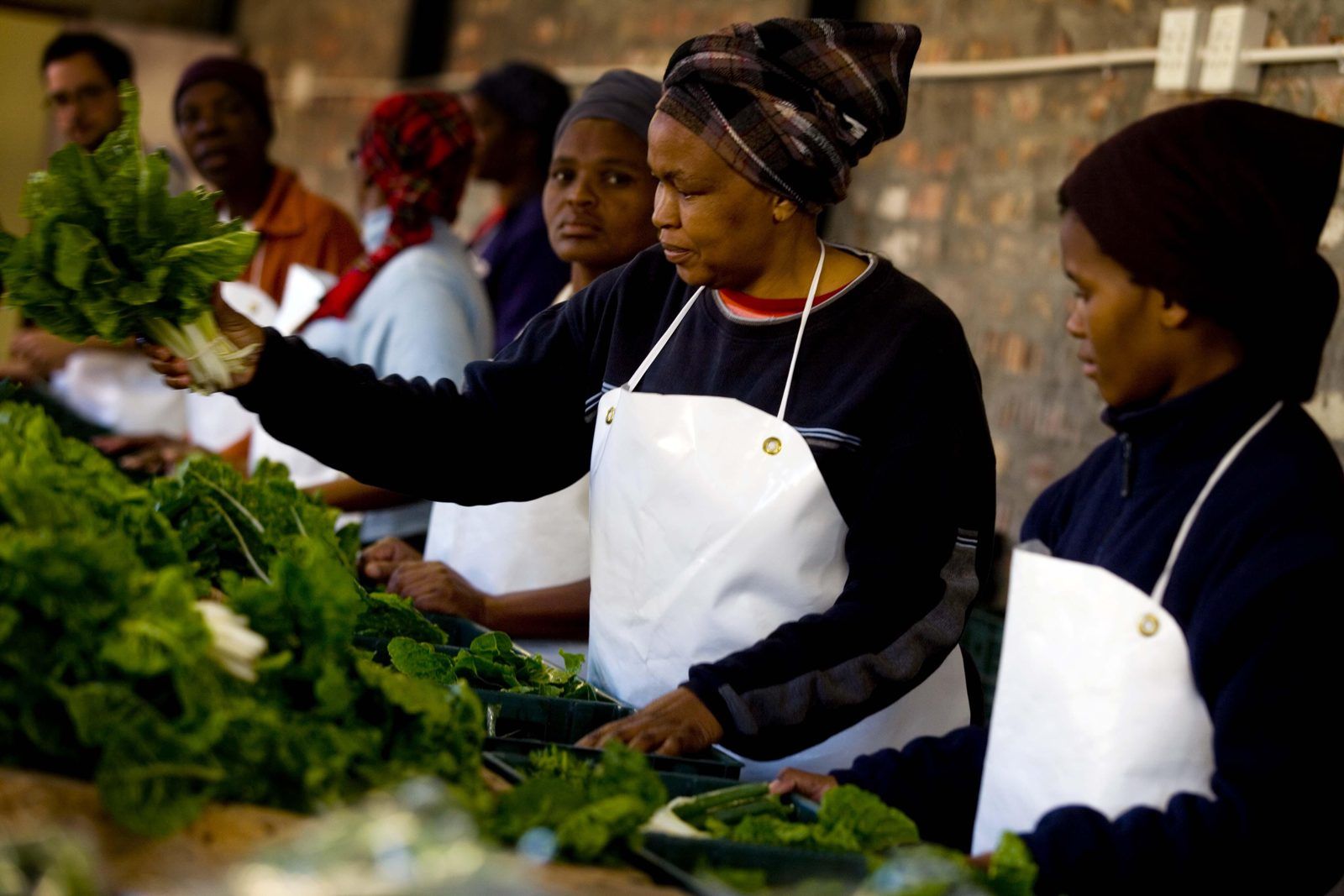 Diagnostic de durabilité d’une unité de transformation : passer des intentions aux indicateurs vérifiables