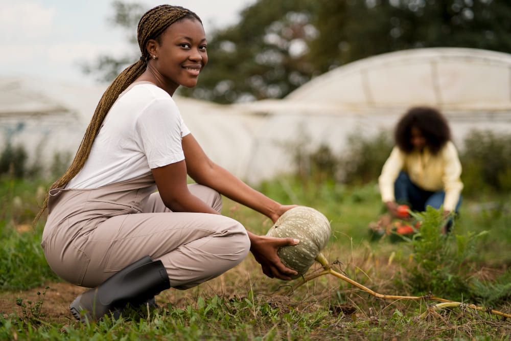 L'agriculture biologique : bien plus qu'une tendance, une nécessité pour notre avenir