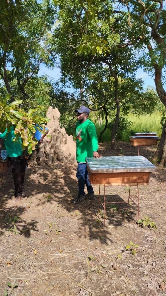 MISE EN PLACE D'UN SITE DE PRODUCTION DU MIEL  BIOLOGIQUE