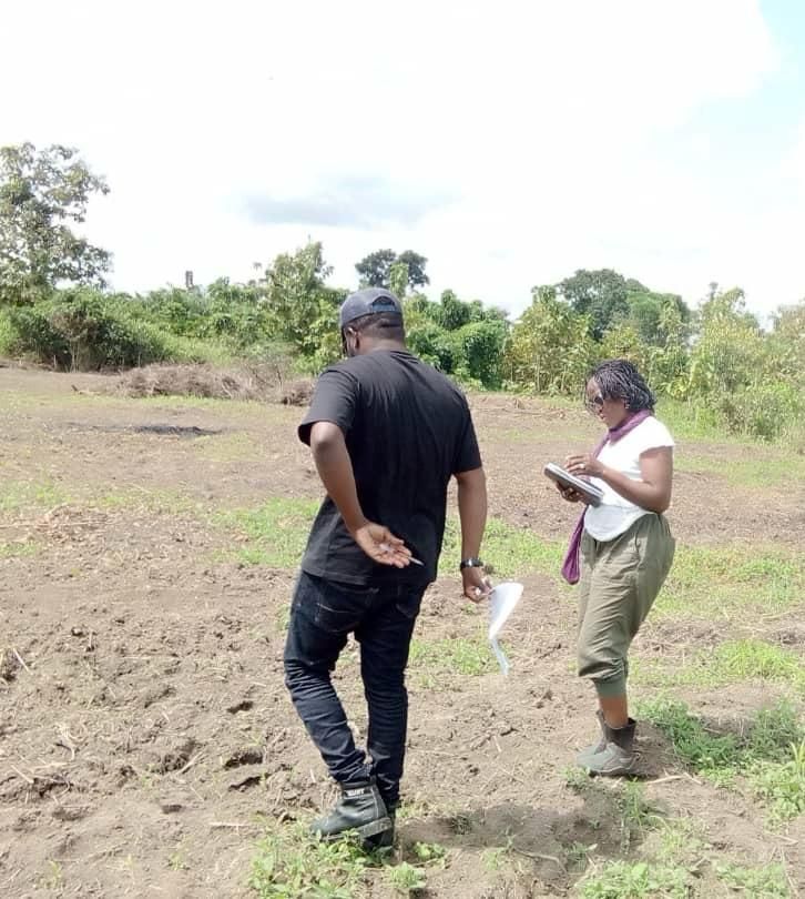 AUDIT BLANC DES PARCELLES D'ANANAS BIOLOGIQUES AVANT INSPECTION EXTERNE DE L'ORGANISME DE CERTIFICATION